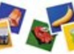 Junior Memory -leerzame-spellen Verkoopwinkel 550x182 2