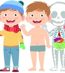 Clementoni - Spelend Leren - Menselijk Lichaam - Educatief Spel -leerzame-spellen Verkoopwinkel 550x279 6