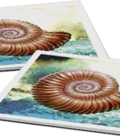 Ravensburger Dinosaurussen Memory? -leerzame-spellen Verkoopwinkel 550x286