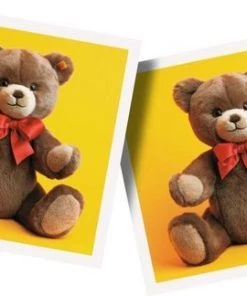 Junior Memory -leerzame-spellen Verkoopwinkel 550x324 3