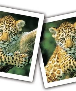 Ravensburger Jonge Dieren Memory® 10 Ravensburger Jonge Dieren Memory® -leerzame-spellen Verkoopwinkel 550x329 1