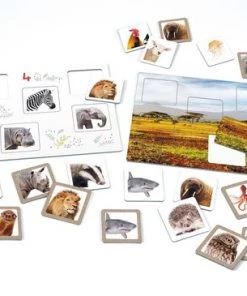 Clementoni Spelend Leren Dierenbingo Educatief Spel -leerzame-spellen Verkoopwinkel 550x365 9