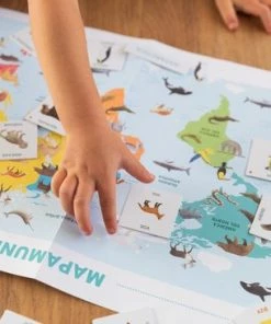Ik Leer Ontdekken Dieren - Educatief Spel 28 Ik Leer Ontdekken Dieren - Educatief Spel -leerzame-spellen Verkoopwinkel 550x366 93