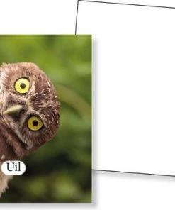 Huurdies Cadeautip! Educatief Dieren Memory Spel - Dierenspel - Dierensoorten Spel - Memoryspel Dieren Met Bijhorende Benamingen- Memory Spel - 70 Kaarten - Schoencadeautjes Sinterklaas -leerzame-spellen Verkoopwinkel 550x378 20