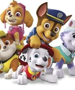 William H. Hurter Ravensburger PAW Patrol Memory? - Kaartspel -leerzame-spellen Verkoopwinkel 550x380 7