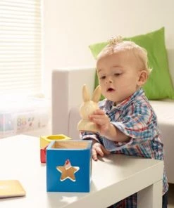 SmartGames - Bunny Boo - Houten Kleuterspel - 60 Opdrachten -leerzame-spellen Verkoopwinkel 550x413 7