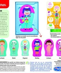 Clementoni - Spelend Leren - Menselijk Lichaam - Educatief Spel -leerzame-spellen Verkoopwinkel 550x415 12