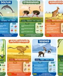 Skillmatics Wijzer Over De Basisschool - Raad Na 10 - Dierenwereld -leerzame-spellen Verkoopwinkel 550x416 7