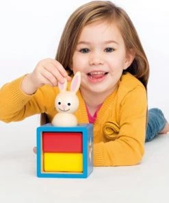 SmartGames - Bunny Boo - Houten Kleuterspel - 60 Opdrachten -leerzame-spellen Verkoopwinkel 550x467 2