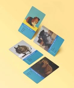 Huurdies Cadeautip! Kwartetspel Dieren XL - Kwartetspel Volwassenen - Kwartetspel Kinderen - 48 Kaarten - 12 Kwartetten - Schoencadeautjes Sinterklaas 8 Huurdies Cadeautip! Kwartetspel Dieren XL - Kwartetspel Volwassenen - Kwartetspel Kinderen - 48 Kaarten - 12 Kwartetten - Schoencadeautjes Sinterklaas -leerzame-spellen Verkoopwinkel 550x530 10