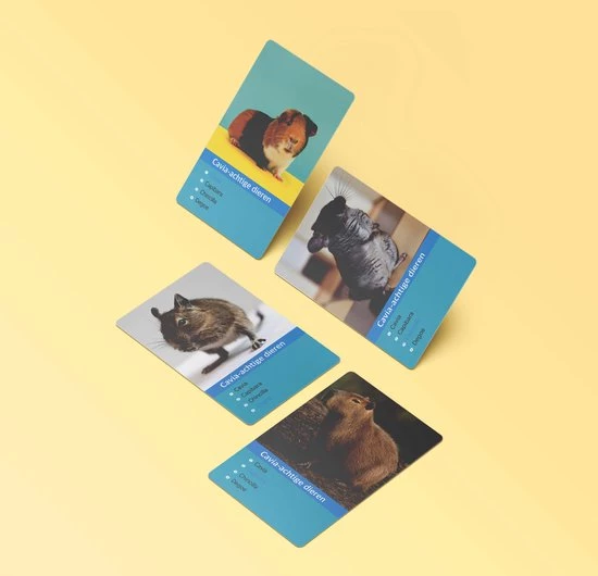 Huurdies Cadeautip! Kwartetspel Dieren XL - Kwartetspel Volwassenen - Kwartetspel Kinderen - 48 Kaarten - 12 Kwartetten - Schoencadeautjes Sinterklaas 5 Huurdies Cadeautip! Kwartetspel Dieren XL - Kwartetspel Volwassenen - Kwartetspel Kinderen - 48 Kaarten - 12 Kwartetten - Schoencadeautjes Sinterklaas - Afbeelding 3