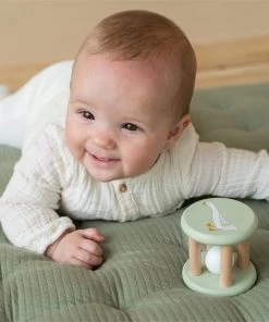 Little Dutch Rammelaar Roller Little Goose -leerzame-spellen Verkoopwinkel 550x550 166