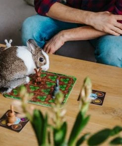 SmartGames - Grabbit - Kinderspel - Memory 13 SmartGames - Grabbit - Kinderspel - Memory -leerzame-spellen Verkoopwinkel 550x550 304