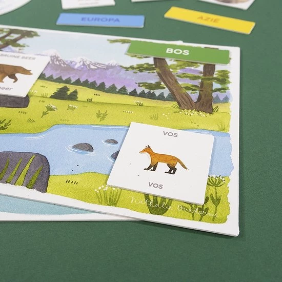 Ik Leer Ontdekken Dieren - Educatief Spel 18 Ik Leer Ontdekken Dieren - Educatief Spel - Afbeelding 16