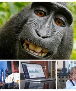 Scrumartikelen.nl Coachkaarten Groot Formaat 21 X 15 Cm Voor Workshops En Training ? Coachingskaarten - Associatiekaarten ? Inspiratiekaarten - Fotokaarten Voor Kinderen, Jongeren En Volwassenen - 45 Kaarten In Stevig Doosje 15 Scrumartikelen.nl Coachkaarten Groot Formaat 21 X 15 Cm Voor Workshops En Training ? Coachingskaarten - Associatiekaarten ? Inspiratiekaarten - Fotokaarten Voor Kinderen, Jongeren En Volwassenen - 45 Kaarten In Stevig Doosje -leerzame-spellen Verkoopwinkel 550x550 383