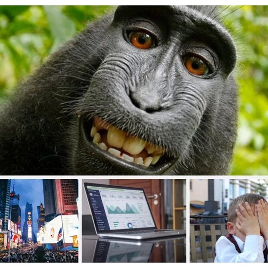 Scrumartikelen.nl Coachkaarten Groot Formaat 21 X 15 Cm Voor Workshops En Training ? Coachingskaarten - Associatiekaarten ? Inspiratiekaarten - Fotokaarten Voor Kinderen, Jongeren En Volwassenen - 45 Kaarten In Stevig Doosje 9 Scrumartikelen.nl Coachkaarten Groot Formaat 21 X 15 Cm Voor Workshops En Training ? Coachingskaarten - Associatiekaarten ? Inspiratiekaarten - Fotokaarten Voor Kinderen, Jongeren En Volwassenen - 45 Kaarten In Stevig Doosje - Afbeelding 7