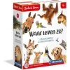 Clementoni Spelend Leren Dierenbingo Educatief Spel
