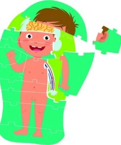 Clementoni - Spelend Leren - Menselijk Lichaam - Educatief Spel -leerzame-spellen Verkoopwinkel 550x634 4