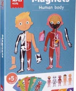 APLI Kids - Het Menselijk Lichaam Magneetspel